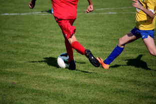 开云体育下载-中国田径队在世界舞台上表现优异,奖牌不断,中国田径队排名